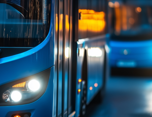 Buses